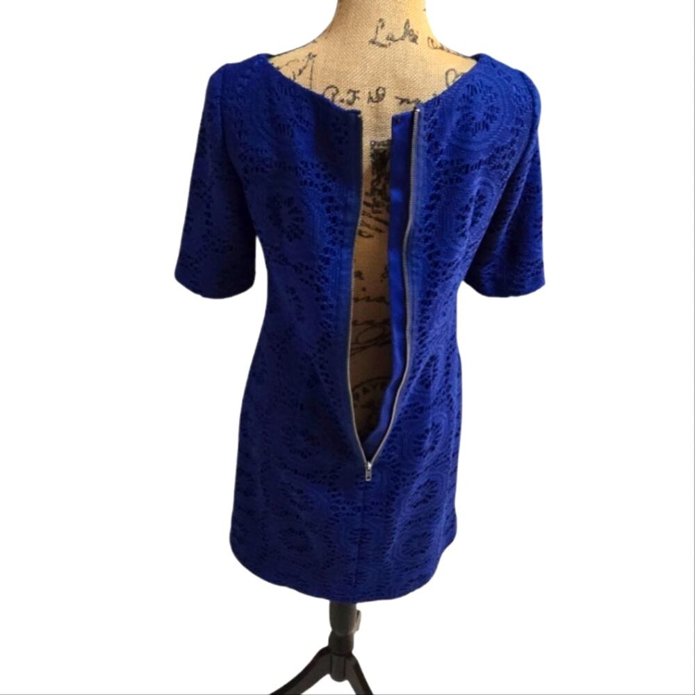 Adrianna Papell Royal‎ Blue Lace Overlay Sheath Dress Size 4 - Picture 3 of 8